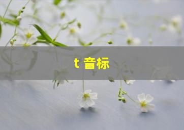 t 音标